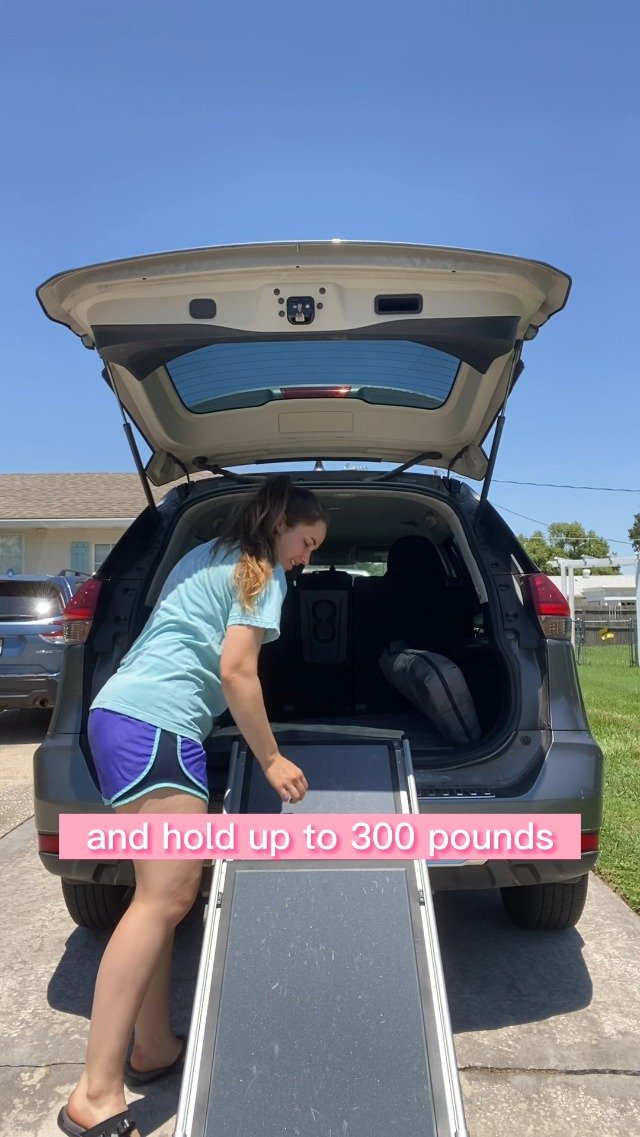 PetSafe Happy Ride Compact Telescoping Dog Ramp – Portable Pet Ramp for Cars, Trucks & SUVs with Adjustable Sizing – Non-Slip Design – Lightweight Pet Mobility Assistance – Extra Long