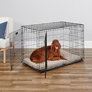 MidWest Homes for Pets 42-Inch iCrate for Large Breeds, 71-90 lbs, Double Door Folding Dog Crate with Divider Panel, Leak-Proof Tray & Secure Latches, Portable, Durable & Easy to Assemble