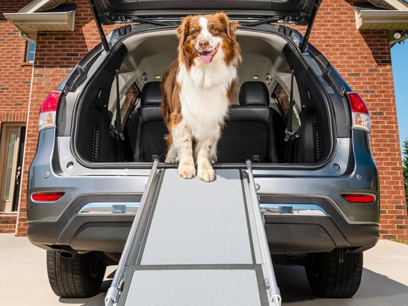 PetSafe Happy Ride Compact Telescoping Dog Ramp – Portable Pet Ramp for Cars, Trucks & SUVs with Adjustable Sizing – Non-Slip Design – Lightweight Pet Mobility Assistance – Extra Long